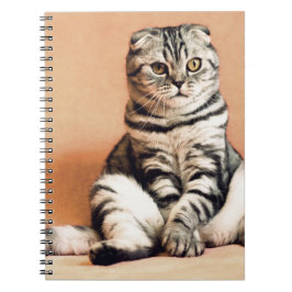 Caderno Espiral Gatinho Bonito Desenterrado