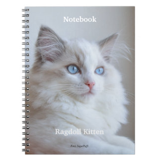 Caderno espiral - gatinho Boris SugarPuffs de