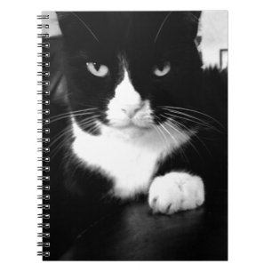 Caderno Espiral Gatinho com má atitude - Imprima-me - Notebook