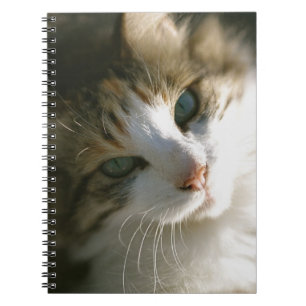 Caderno Espiral Gatinho do tigre da chita
