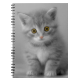 Caderno Espiral Gatinho Doce
