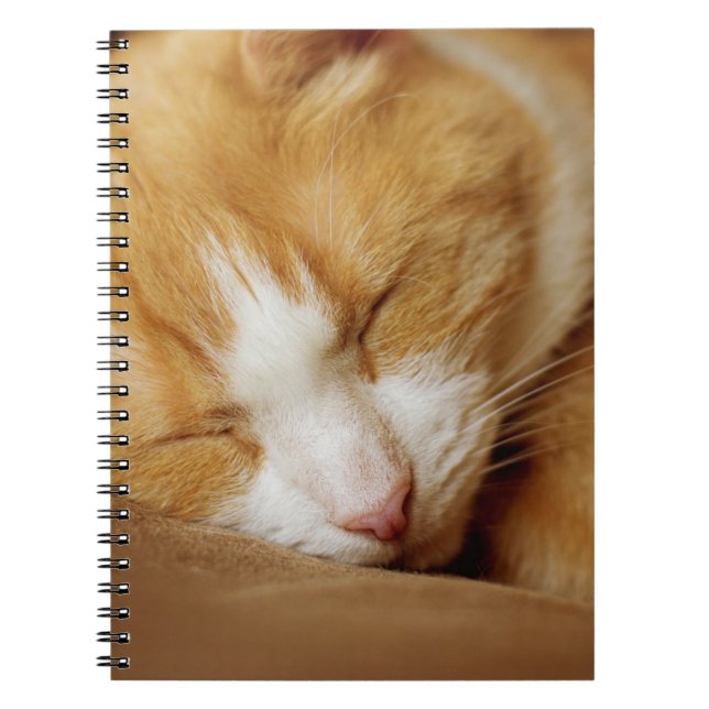 Caderno Espiral Gatinho Dormindo (Frente)