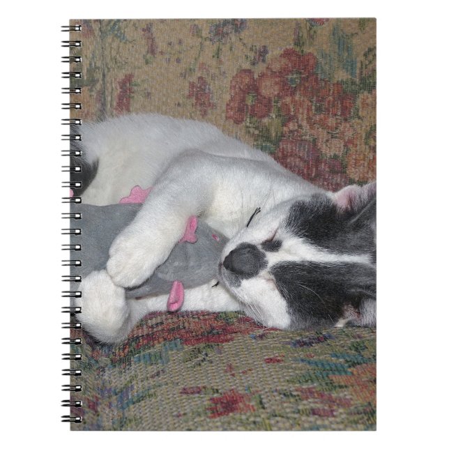 Caderno Espiral Gatinho Dormindo (Frente)