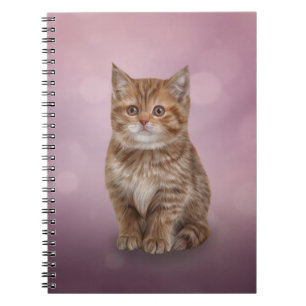 Caderno Espiral Gatinho listrado engraçado de tiragem