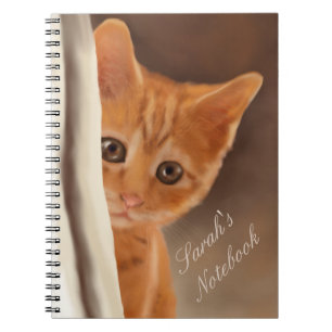 Caderno Espiral Gatinho macio do gengibre