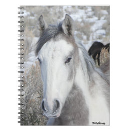 Caderno Espiral Gatinho Notebook