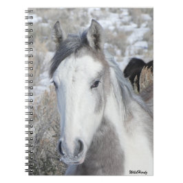 Caderno Espiral Gatinho Notebook