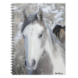 Caderno Espiral Gatinho Notebook