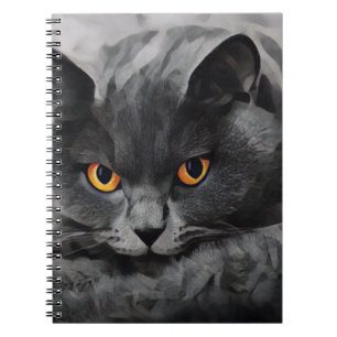 Caderno Espiral Gatinho Shorthair