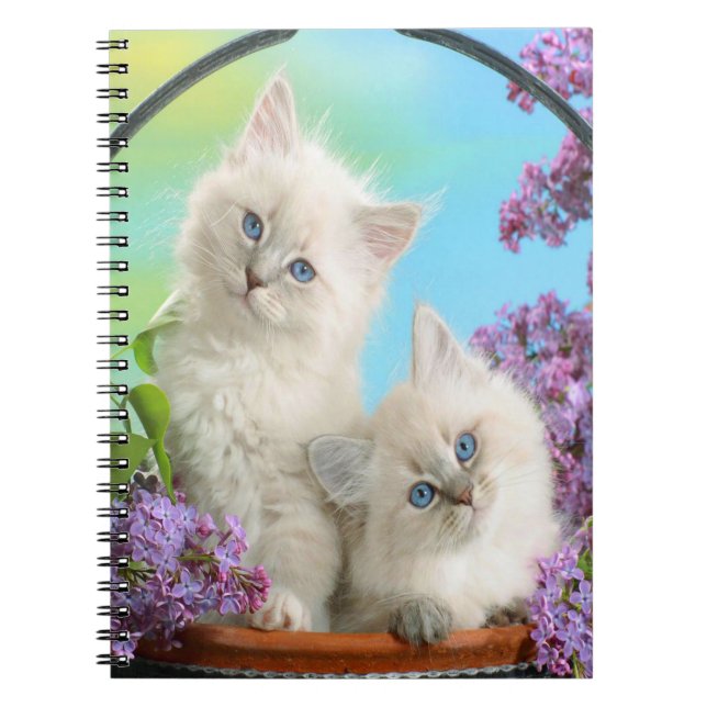 Caderno Espiral Gatinhos Cujos (Frente)