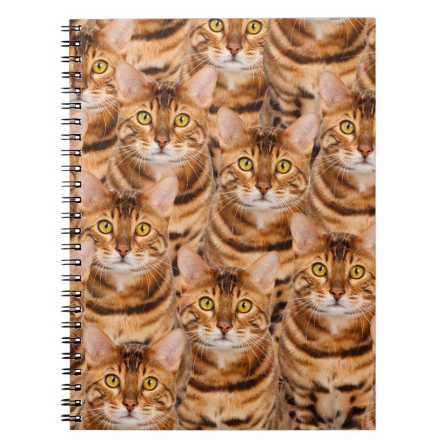 Caderno Espiral Gatinhos espectaculares de Bengal (Frente)