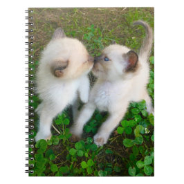 Caderno Espiral gatinhos se beijando no trevo