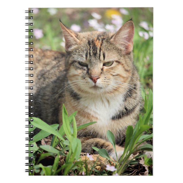 Caderno Espiral Gato (Frente)