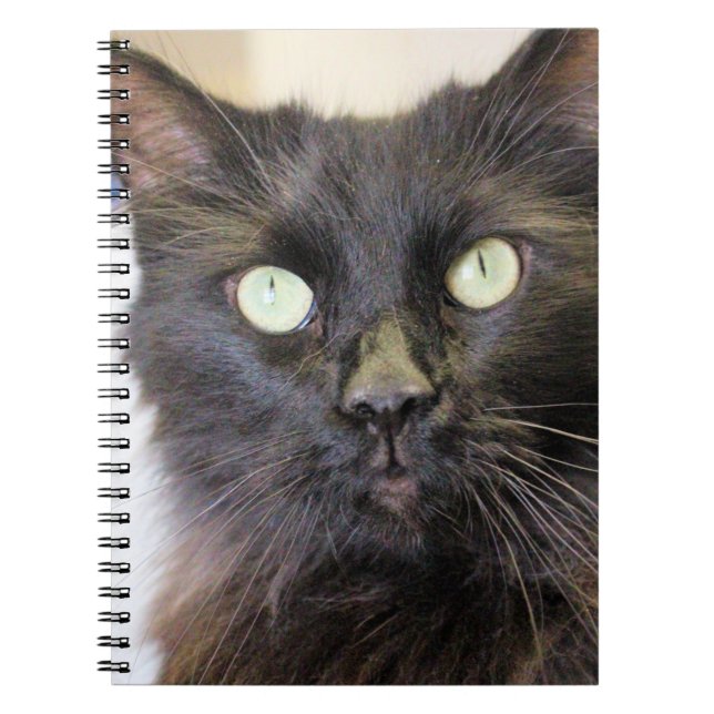 Caderno Espiral Gato (Frente)