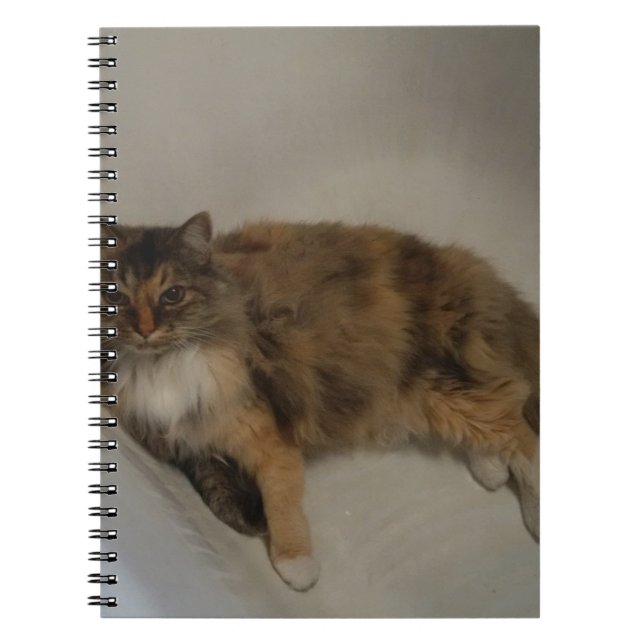 Caderno Espiral Gato (Frente)