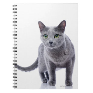 Caderno Espiral Gato azul do russo