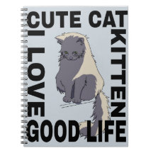 Gato bonito, boa vida