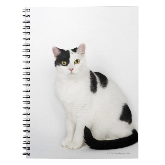 Caderno Espiral Gato branco com manchas pretas (Frente)