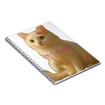Gato Branco Fofo "Eu Sou Apenas uma Garota" Estéti