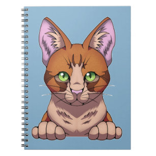 Caderno Espiral Gato Cinto