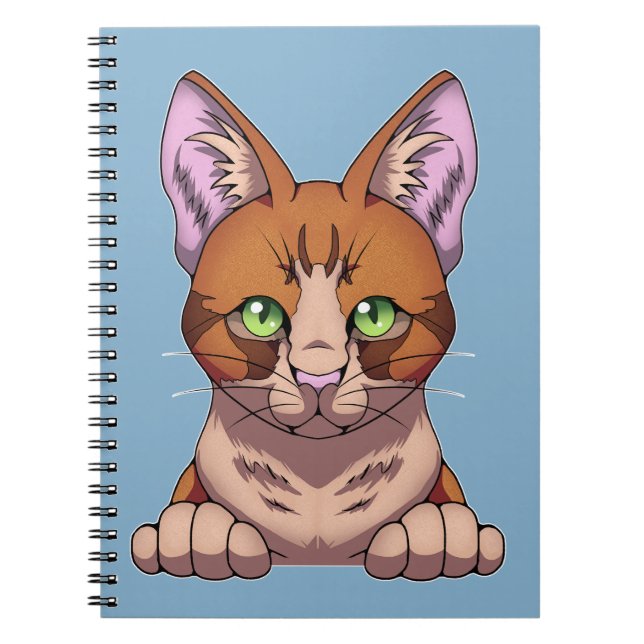 Caderno Espiral Gato Cinto (Frente)