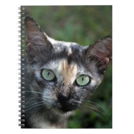 Caderno Espiral Gato Cinza Marrom Branco com Olhos Verdes