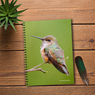 Caderno Espiral Gato-de-bico-rufo-bonito na Califórnia Lilac