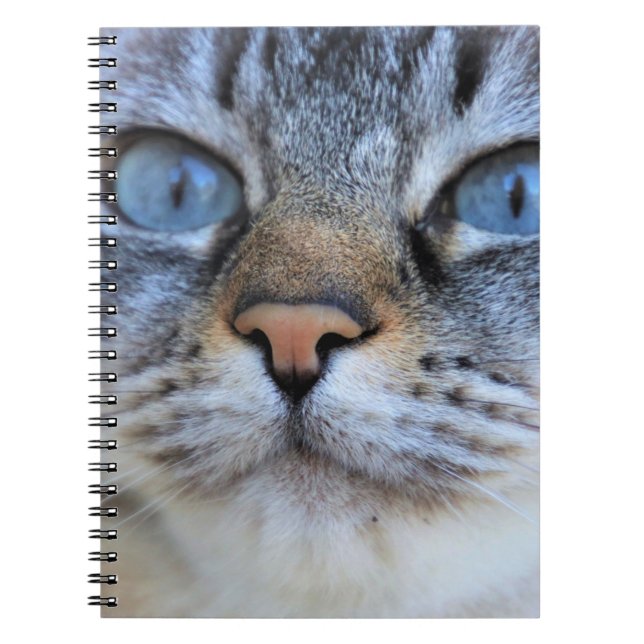 Caderno Espiral Gato de cinza (Frente)