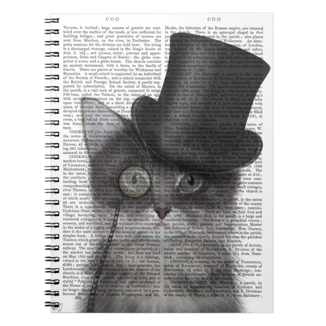 Caderno Espiral Gato de cinza com Chapéu Superior (Frente)