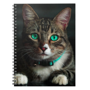 Caderno Espiral Gato de Olho Verde