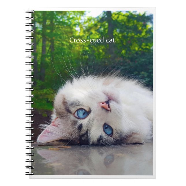 Caderno Espiral Gato de olhos cruzados (Frente)