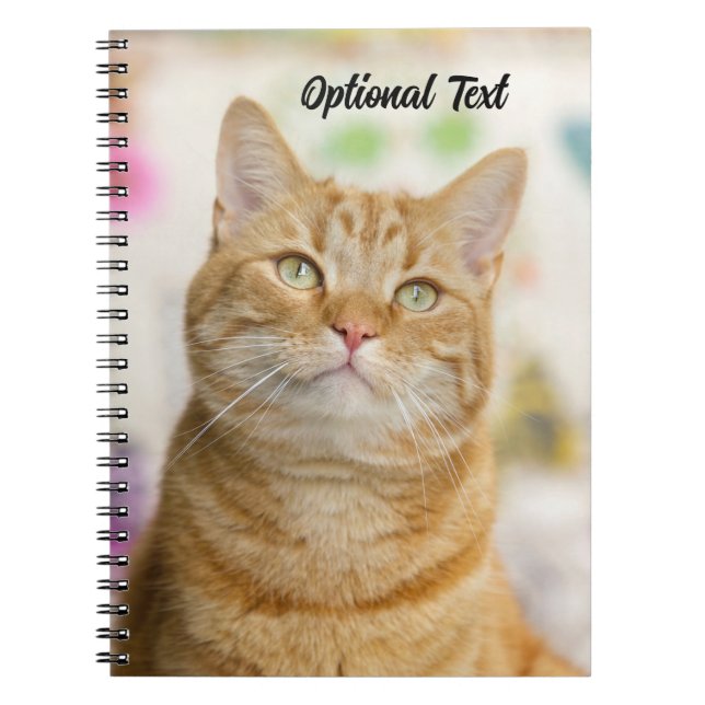 Caderno Espiral Gato de Tabby Laranja Personalizado (Frente)