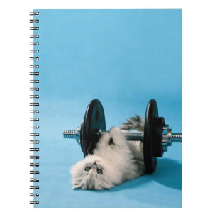 Caderno Espiral Gato do exercício