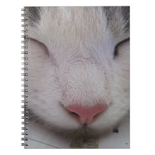 Caderno Espiral Gato Dormindo