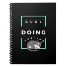 GATO ENGRAÇADO OCUPADO FAZENDO NADA 