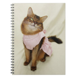 Caderno Espiral Gato Flirty Somali Cat Winking