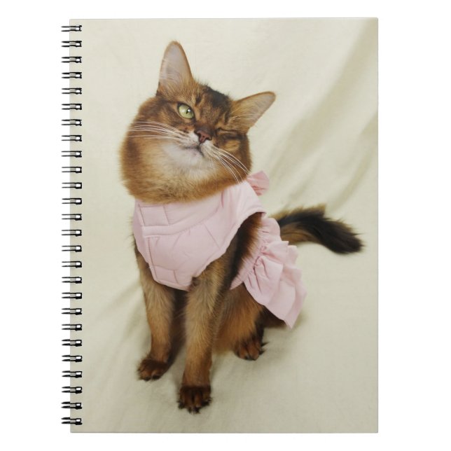 Caderno Espiral Gato Flirty Somali Cat Winking (Frente)