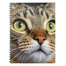 Caderno Espiral Gato fofo