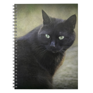 Caderno Espiral Gato macho negro com olhos verdes