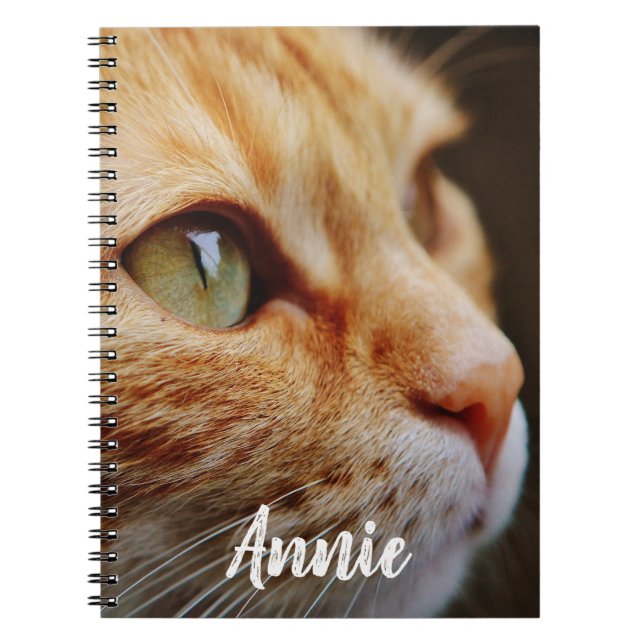 Caderno Espiral Gato malhado alaranjado com os olhos verdes feitos (Frente)