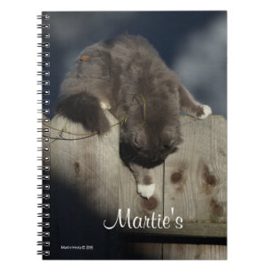 Caderno Espiral Gato na cerca (18)