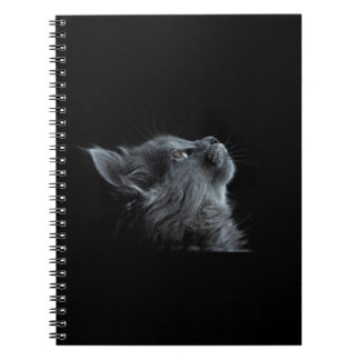 Caderno Espiral Gato Negro