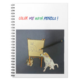 Caderno Espiral Gato No Easel