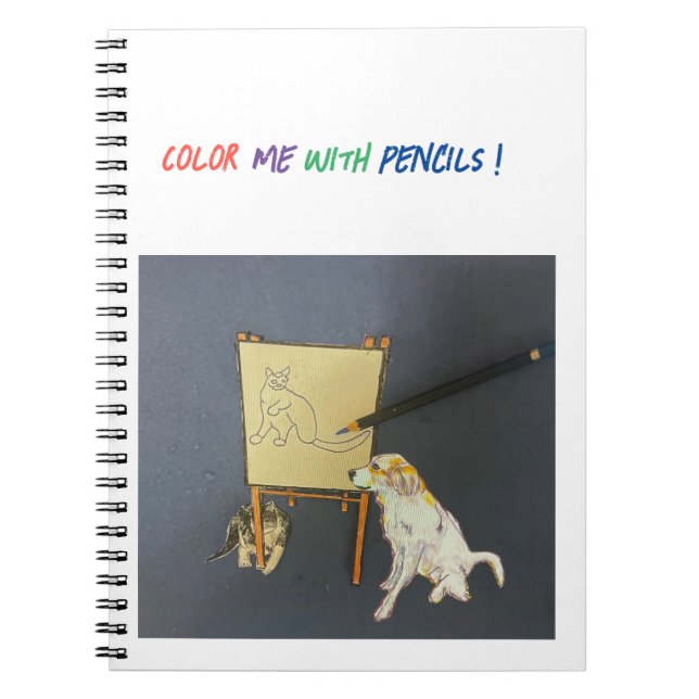 Caderno Espiral Gato No Easel (Frente)