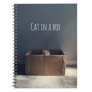 Caderno Espiral Gato numa caixa. O mestre do gato Zen.