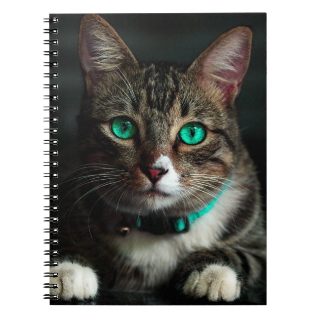 Caderno Espiral Gato Olhado Verde (Frente)