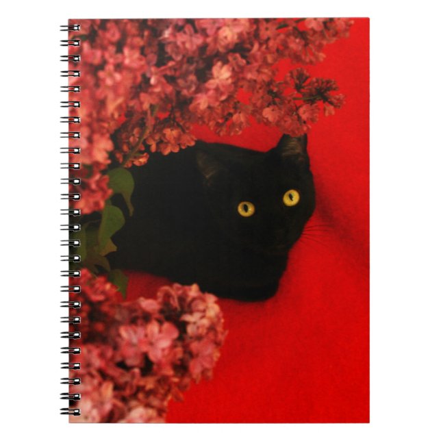 Caderno Espiral gato preto (Frente)