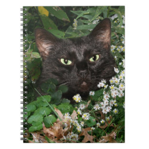 Caderno Espiral Gato preto com wildflowers