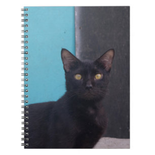 Caderno Espiral Gato Preto Surpreso