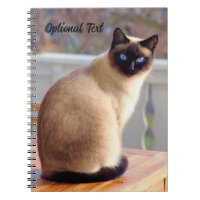 Gato Siamês Bela Personalizado com Olhos Azuis